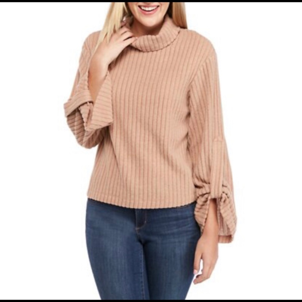 The Limited Hacci Knit Ribbed Turtleneck Camel